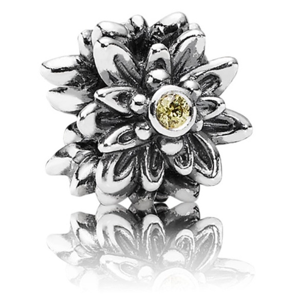 Pandora Snake Chain Silver Bracelet w/ 4 Pandora Charms - Picture 8 of 9